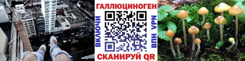 Галлюциногенные грибы мицелий Щёлково